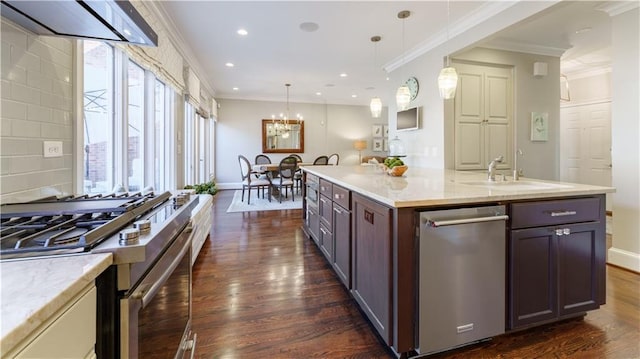 kitchen featuring a sink, dark wood-style floors, appliances with stainless steel finishes, and ornamental molding