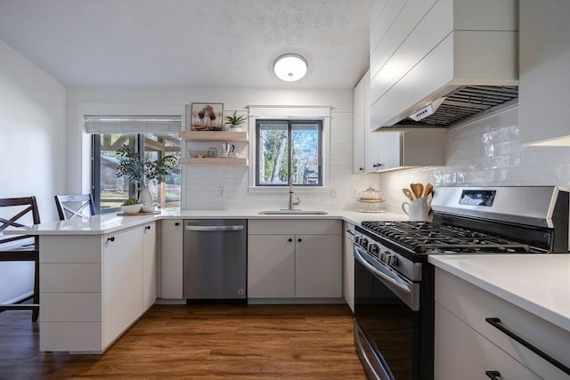 kitchen with appliances with stainless steel finishes, dark wood-type flooring, light countertops, premium range hood, and a sink