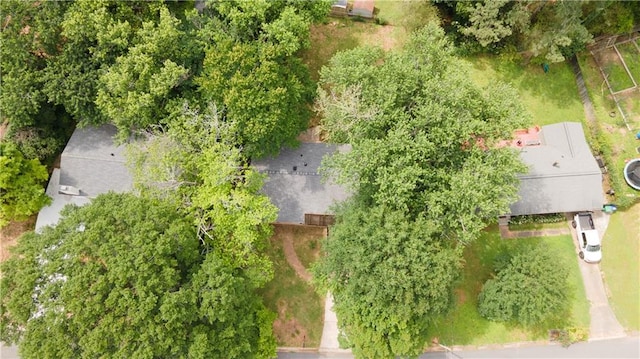 4339 Sasanqua Ct, Tucker, GA 30084 - bird's eye view
