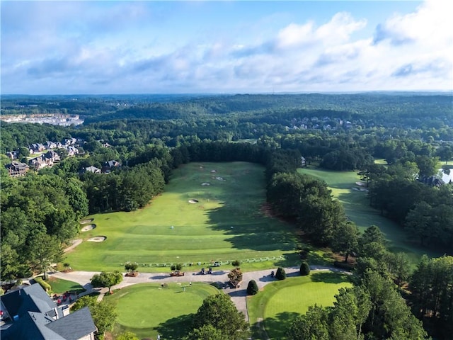 8370 Royal Melbourne Way, Duluth, GA 30097 - bird's eye view of a forest and a golf course