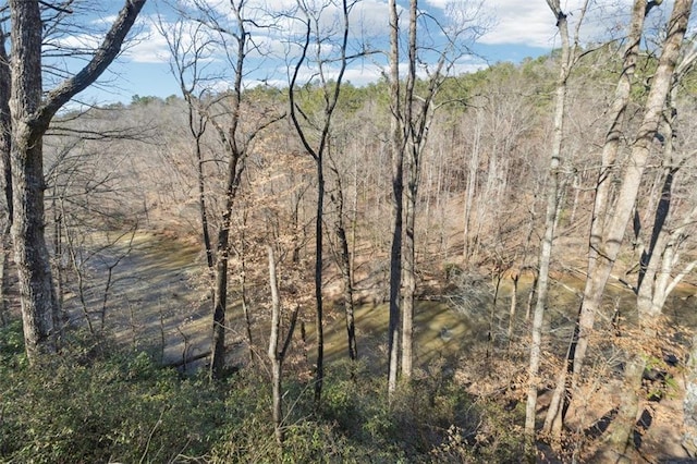 view of local wilderness featuring a view of trees