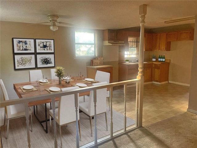 dining area featuring ceiling fan