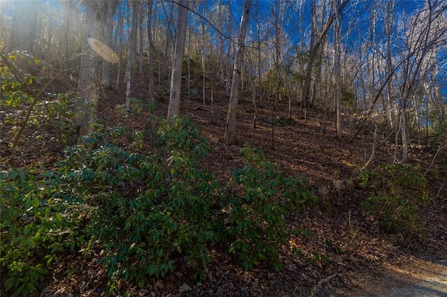 view of landscape with a forest view