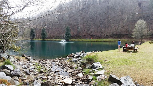 water view with a view of trees