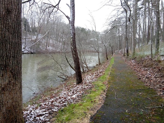 8145 Stone Hill Rd, Cumming, GA 30028 - water view with a forest