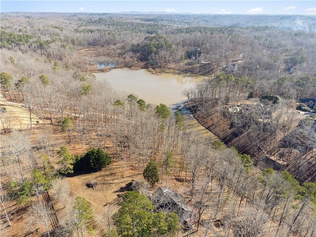 8145 Stone Hill Rd, Cumming, GA 30028 - drone / aerial view of a nearby body of water and a forest