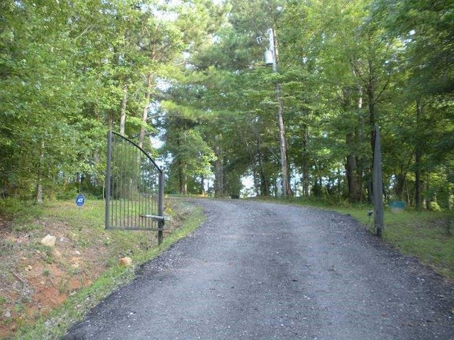 8145 Stone Hill Rd, Cumming, GA 30028 - view of asphalt road with a view of trees