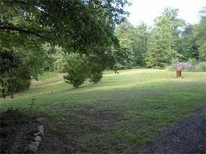 8145 Stone Hill Rd, Cumming, GA 30028 - view of grassy yard