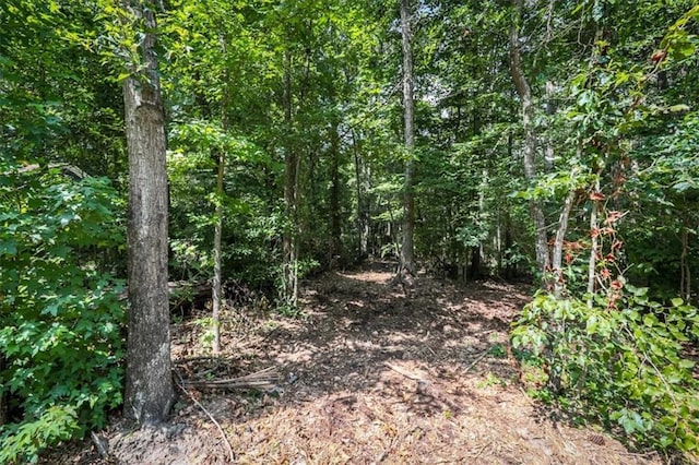 3132 Macedonia Rd, Powder Springs GA, 30127 land for sale