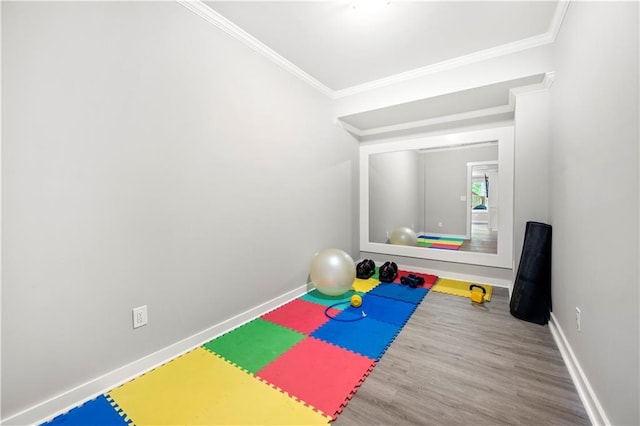 exercise area with crown molding and hardwood / wood-style floors