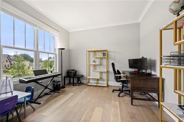 office space with wood finished floors, baseboards, and ornamental molding