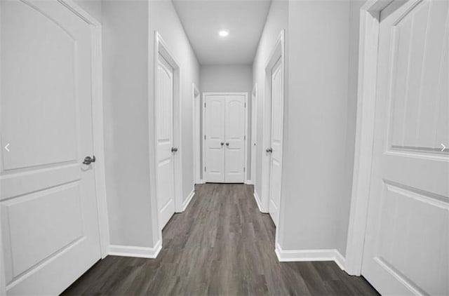 hall featuring dark hardwood / wood-style floors