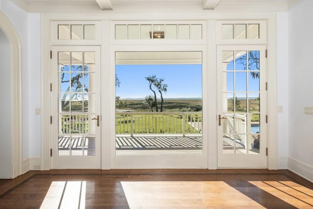 doorway featuring a wealth of natural light, dark hardwood / wood-style flooring, and beamed ceiling