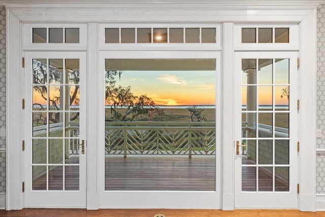 entryway with hardwood / wood-style floors