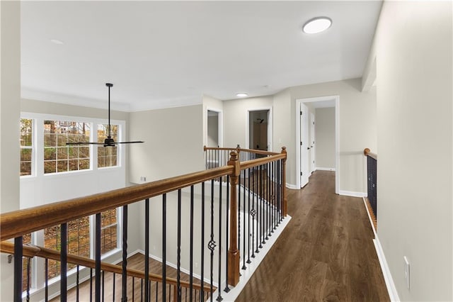 hall with dark hardwood / wood-style floors and crown molding