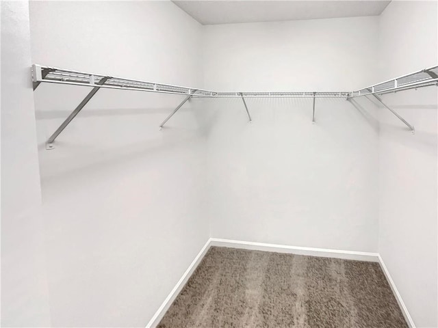 1371 Blazing Star Rd, Lawrenceville, GA 30045 - spacious closet featuring carpet