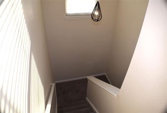 1371 Blazing Star Rd, Lawrenceville, GA 30045 - staircase with carpet and baseboards