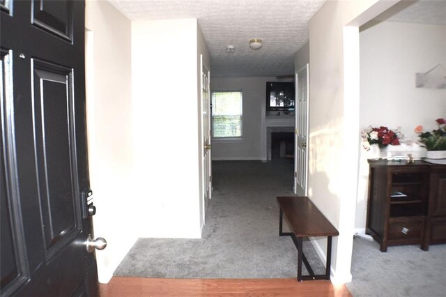 1371 Blazing Star Rd, Lawrenceville, GA 30045 - hallway featuring carpet and a textured ceiling