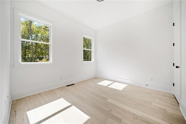 unfurnished room featuring light wood-type flooring and plenty of natural light