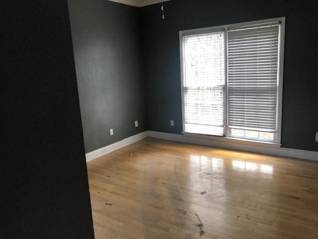 empty room with light hardwood / wood-style flooring