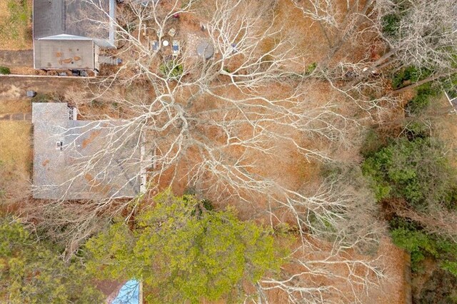 1222 E Forrest Ave, Atlanta, GA 30344 - view of local wilderness