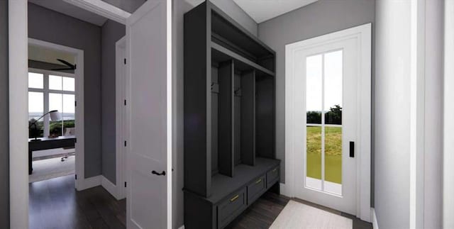 0 Wynn Dr, Carrollton, GA 30117 - mudroom with dark wood-type flooring and plenty of natural light