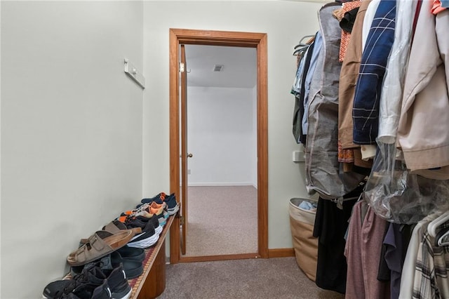 110 The Farm Rd, Mcdonough, GA 30252 - spacious closet featuring carpet floors and visible vents