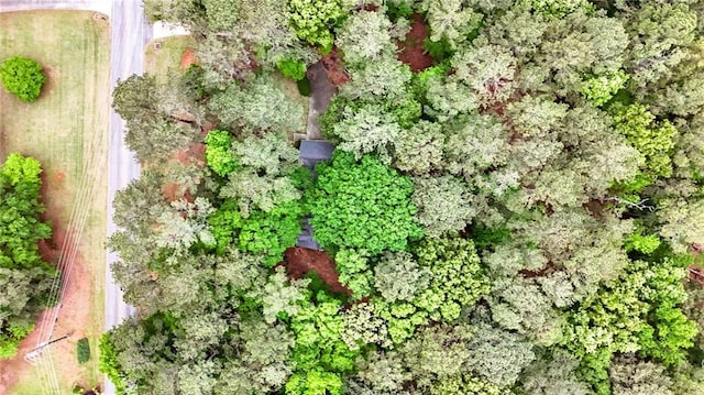 110 The Farm Rd, Mcdonough, GA 30252 - aerial view