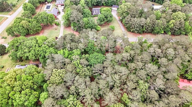 110 The Farm Rd, Mcdonough, GA 30252 - birds eye view of property