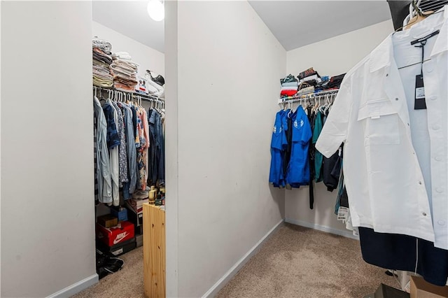 240 Daisy Cir, Mcdonough, GA 30252 - spacious closet featuring carpet