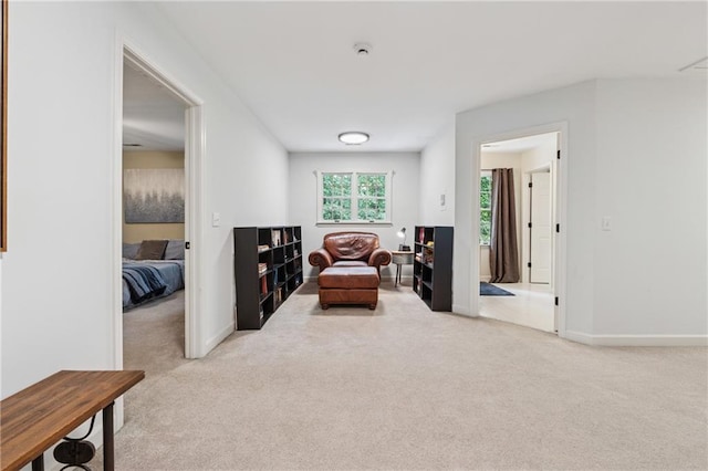 34 Johnston Row NW, Cartersville, GA 30121 - living area featuring carpet floors and baseboards