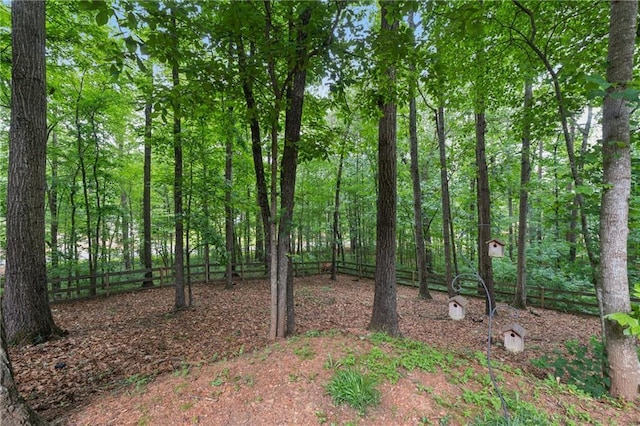 34 Johnston Row NW, Cartersville, GA 30121 - view of undeveloped land