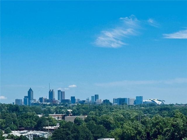 1105 Rivard Cir NW, Atlanta, GA 30318 - view of city skyline