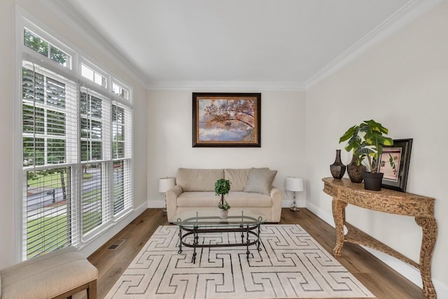 1547 Trilogy Park, Hoschton, GA 30548 - living area with ornamental molding, dark wood-type flooring, and baseboards