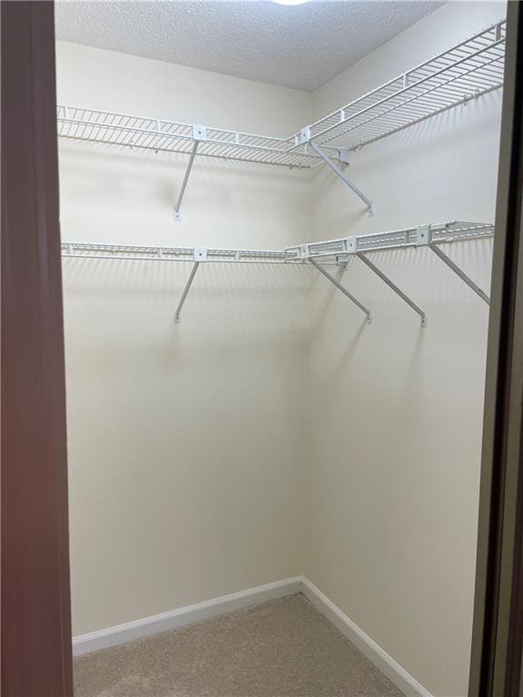 walk in closet featuring light carpet