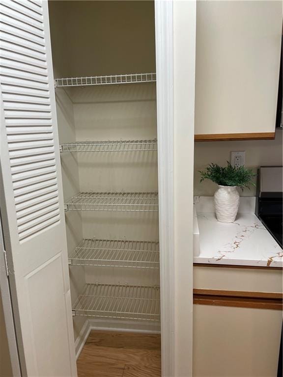 view of closet