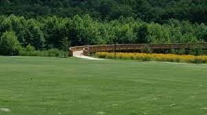 356 Henry Scott Rd, Ball Ground, GA 30107 - surrounding community with an area for soccer and a forest view
