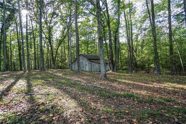 view of yard with an outbuilding