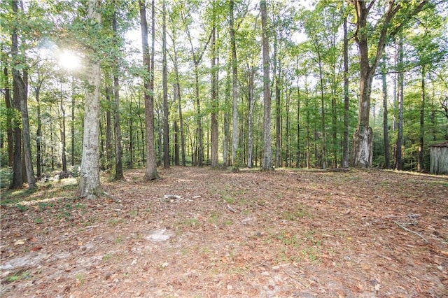 view of local wilderness