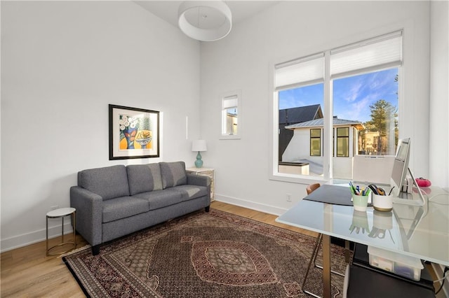 living room featuring hardwood / wood-style floors