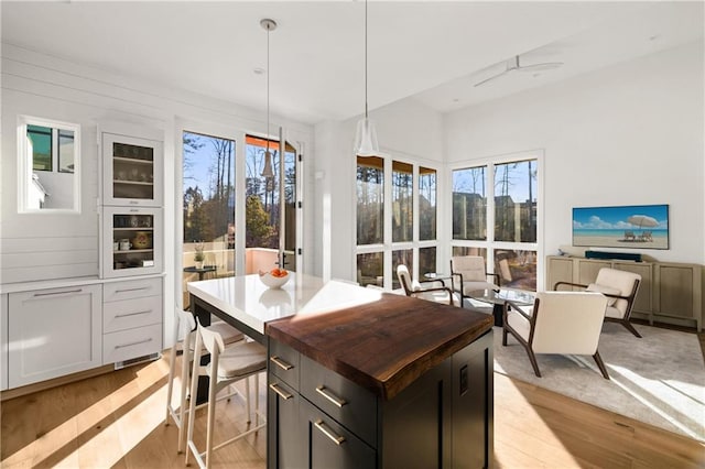 interior space with a wealth of natural light, light hardwood / wood-style flooring, and ceiling fan