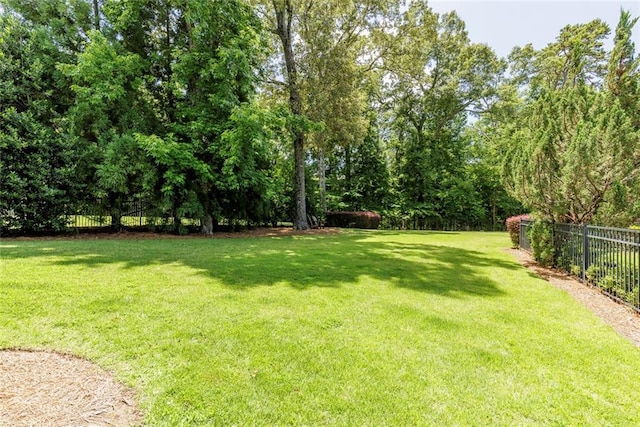 170 Autry Trl, Johns Creek, GA 30022 - view of yard