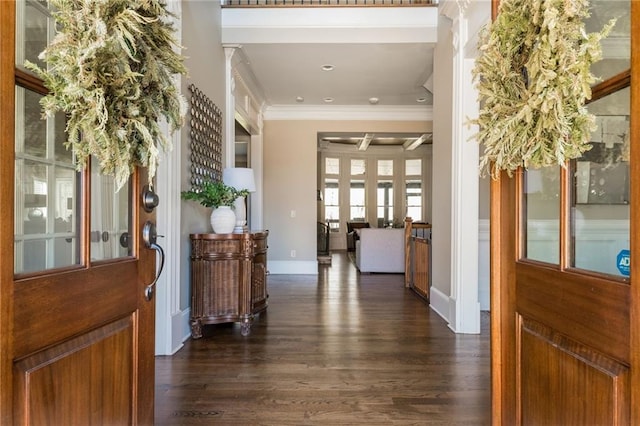 foyer entrance featuring baseboards, dark wood-style flooring, and crown molding