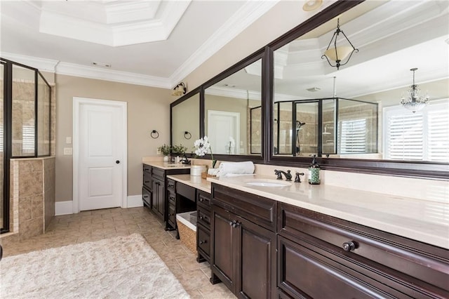 full bathroom featuring ornamental molding, a raised ceiling, vanity, and a shower stall