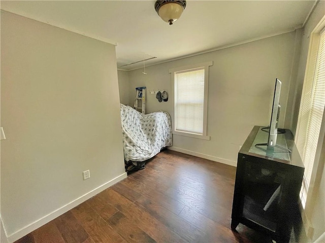 interior space featuring crown molding and dark hardwood / wood-style floors