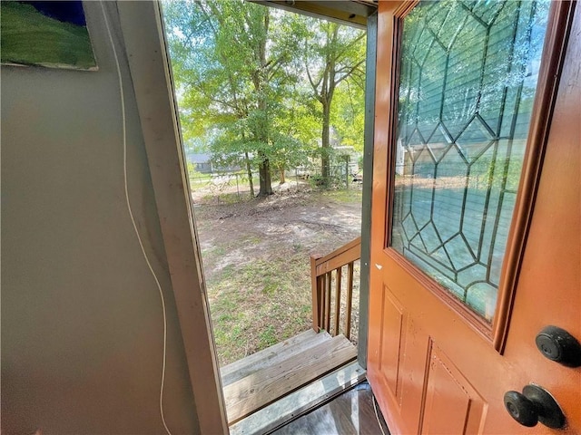 entryway featuring plenty of natural light