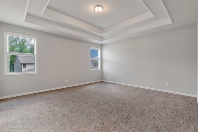 2320 Ivy Birch Ln, Buford, GA 30519 - carpeted empty room featuring a tray ceiling and baseboards