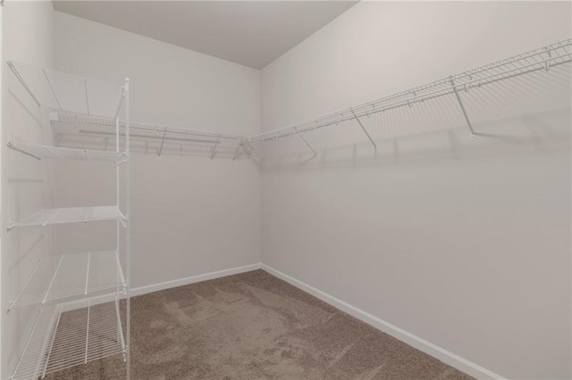 2320 Ivy Birch Ln, Buford, GA 30519 - spacious closet featuring carpet