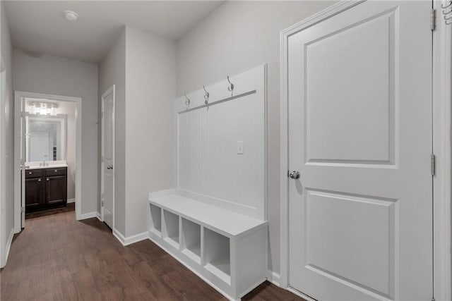 2320 Ivy Birch Ln, Buford, GA 30519 - mudroom with dark wood-type flooring, a sink, and baseboards