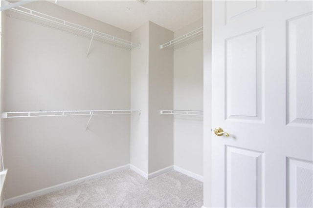 89 Paul Cir, Jasper, GA 30143 - walk in closet with carpet flooring